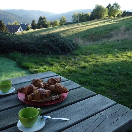 Chalet Aux Balcons Des Xettes Gerardmer