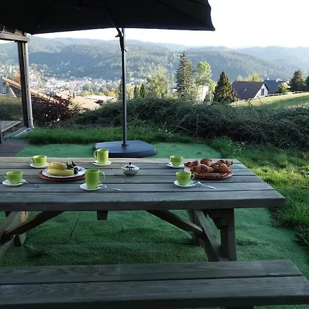 Aux Balcons Des Xettes * Gérardmer