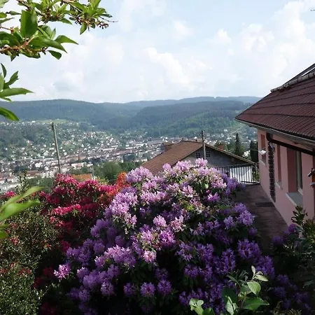 Aux Balcons Des Xettes *