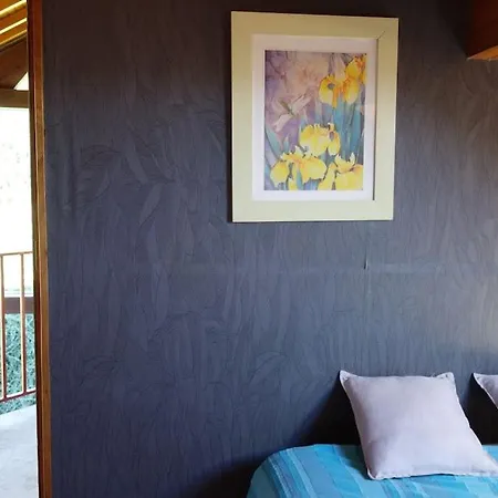 Aux Balcons Des Xettes Chalet Gerardmer